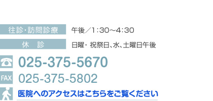 アクセスはこちら