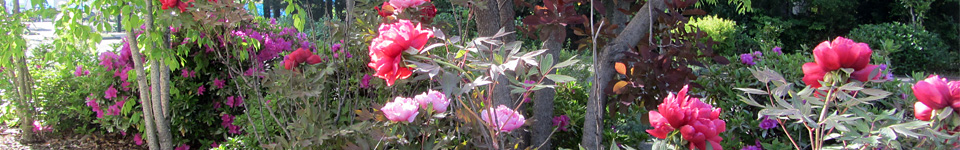 交通・アクセス